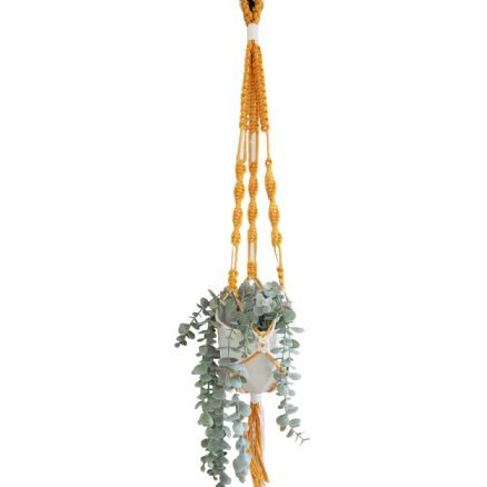 Macrame Hanger- Creamsicle Product Image